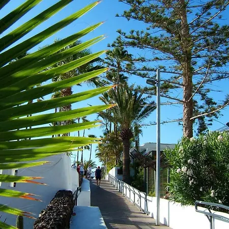 Cristianos To Enjoy, Relax And Live The Ocean! شقة *